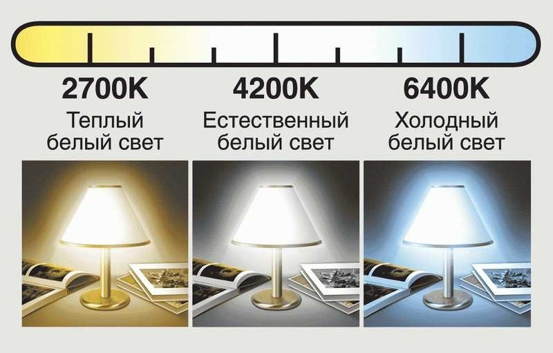 fe425ffb49cc5b54c5e77024c3b6982d.jpg